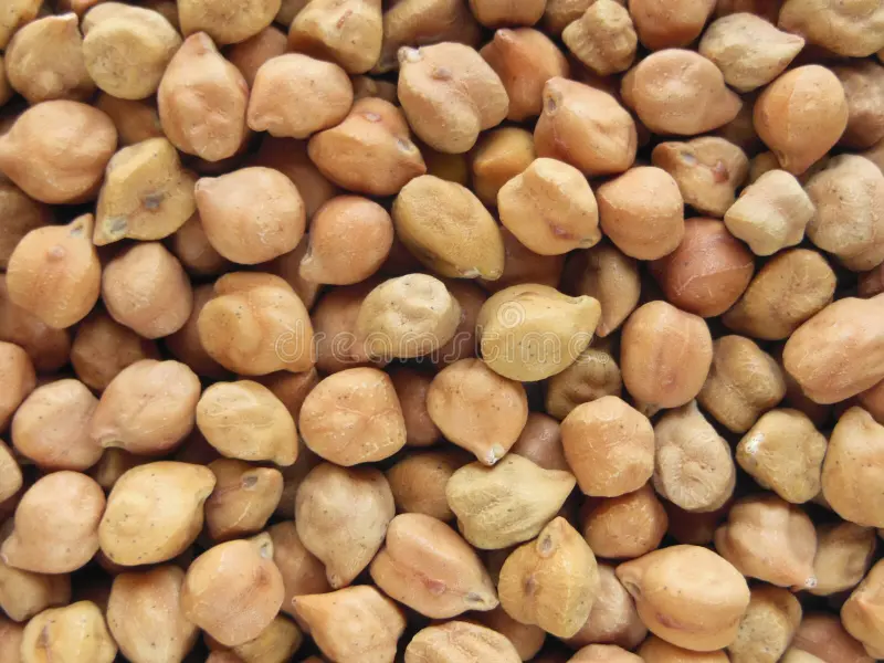 Dried Chickpeas (100gm)