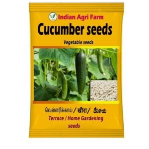 Iagrifarm Cucumber Seeds - 100 g (Approx. 4000 Seeds) - Dosakaya - Vellari- Sambar Cucumber Seeds - Gardening & Farming Seeds
