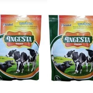 AUROUS Ingesta Powder 1 kg, Mineral Mixture for Cow,Buffalo, Sheep, Goat and Other Large and Small Animals,Feed Supplement for Higher Growth and Milk Production (Pack of 2)