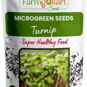 TURNIP MICROGREEN SEEDS | 100 Gms |- Non-GMO, Heirloom Seeds for Growing Microgreens in Soil, Coconut Coir, Aerogarden & Hydroponic |