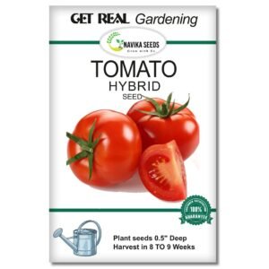 Navika Seeds ; Grow with Us Tomato Hybrid Vegetable Seed for Gardening. Free E Book for Kitchen Garden,Backyard Gardening,Home Gardening & Planting included.(Pack of 2 gm Tomato Hybrid Vegetable Seed)