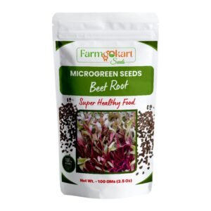 BEET ROOT MICROGREEN SEEDS | 100 Gms |- Non-GMO, Heirloom Seeds for Growing Microgreens in Soil, Coconut Coir, Aerogarden & Hydroponic |