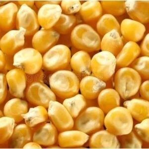 Chauhan Farm Maize Corn Feed for Cattle, Animal Feed. 5 KG