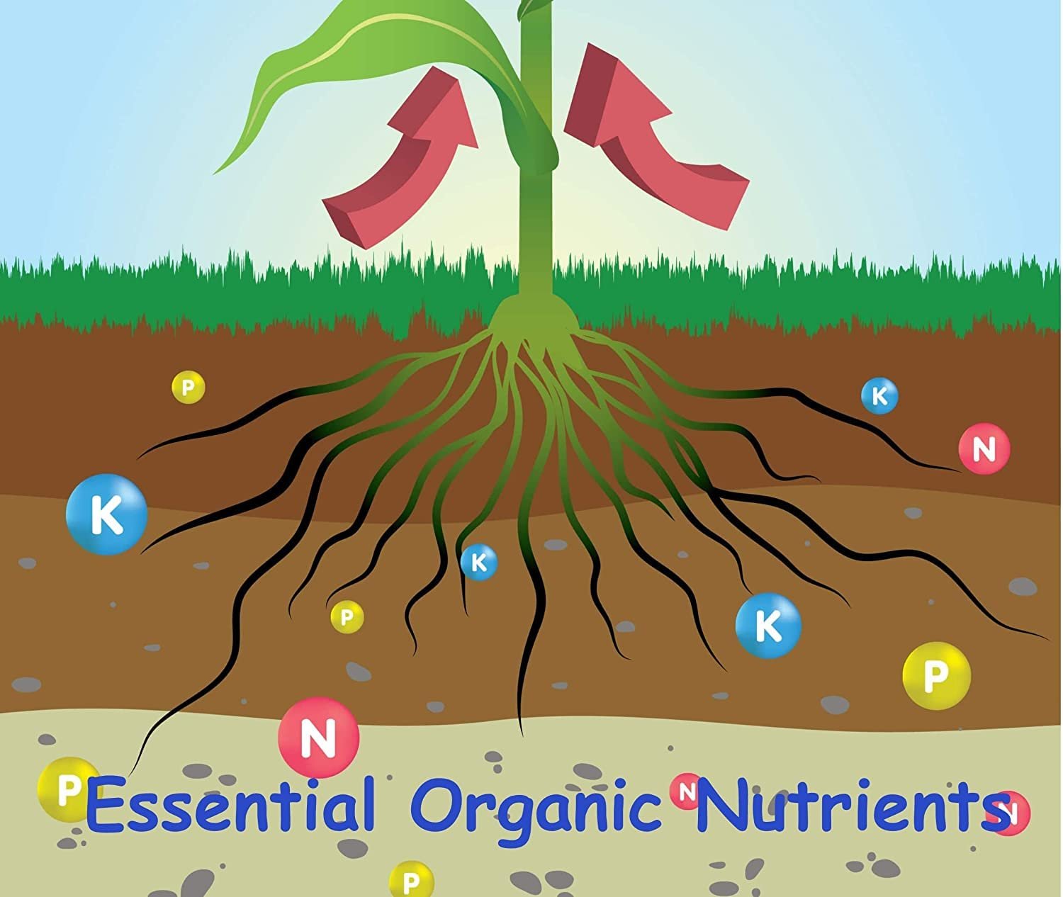 DIVINE TREE Nicotox-D Tobacco Dust Powder for Plants (900g) | Natural Soil & Root Insecticide for Plants | Organic Pest Control for Garden, Lawn, Pots & Home Plants