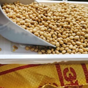 CATTLE FOOD 1000 GRAM ANIMAL FEED SOYBEAN/सोयाबीन पशु आहार/BACKBONE OF ANIMAL FOOD/Protein-Rich and Balanced Nutrition (PACK OF 490 GRAM) key to good dairy rations,