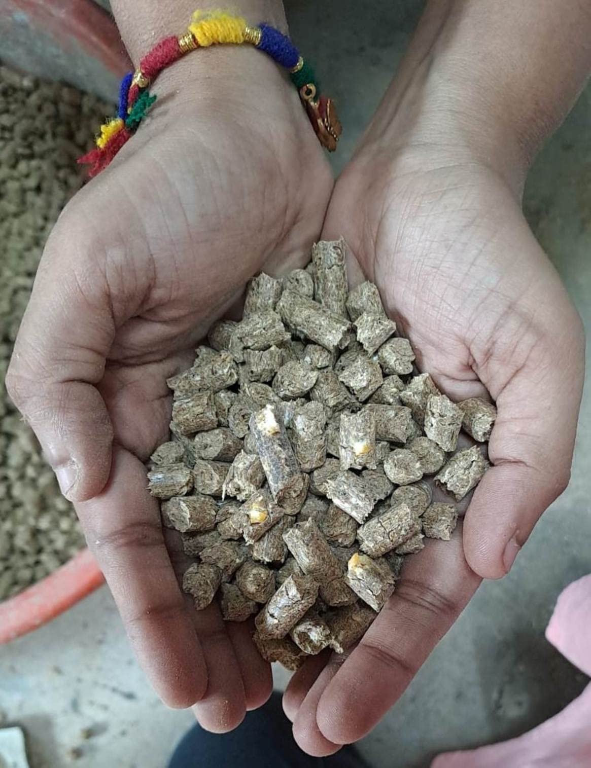 RMR-ROBUST MEAL RATION -Cattle/Buffalo/Cow Feed Pellets (17Kgs), Natural Feed Fortified With Essential Vitamins And Minerals And Probiotics,All Life Stages, 1 Count