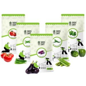 Seeds Cart Indian Veggie Combo (Tomato,Chilli, Brinjal, Okra, Capsicum) Planting Seeds | Non-Hybrid, Open Pollinated And Non-GMO | Vegetable Seed For Farming, Home & kitchen Garden (Approx 960)