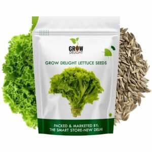 GROW DELIGHT Lettuce (250 Seeds) Exotic Vegetable Seeds for Home Garden, Organic & Hybrid, Perfect for Home Gardening, Planting For Pots and Patio