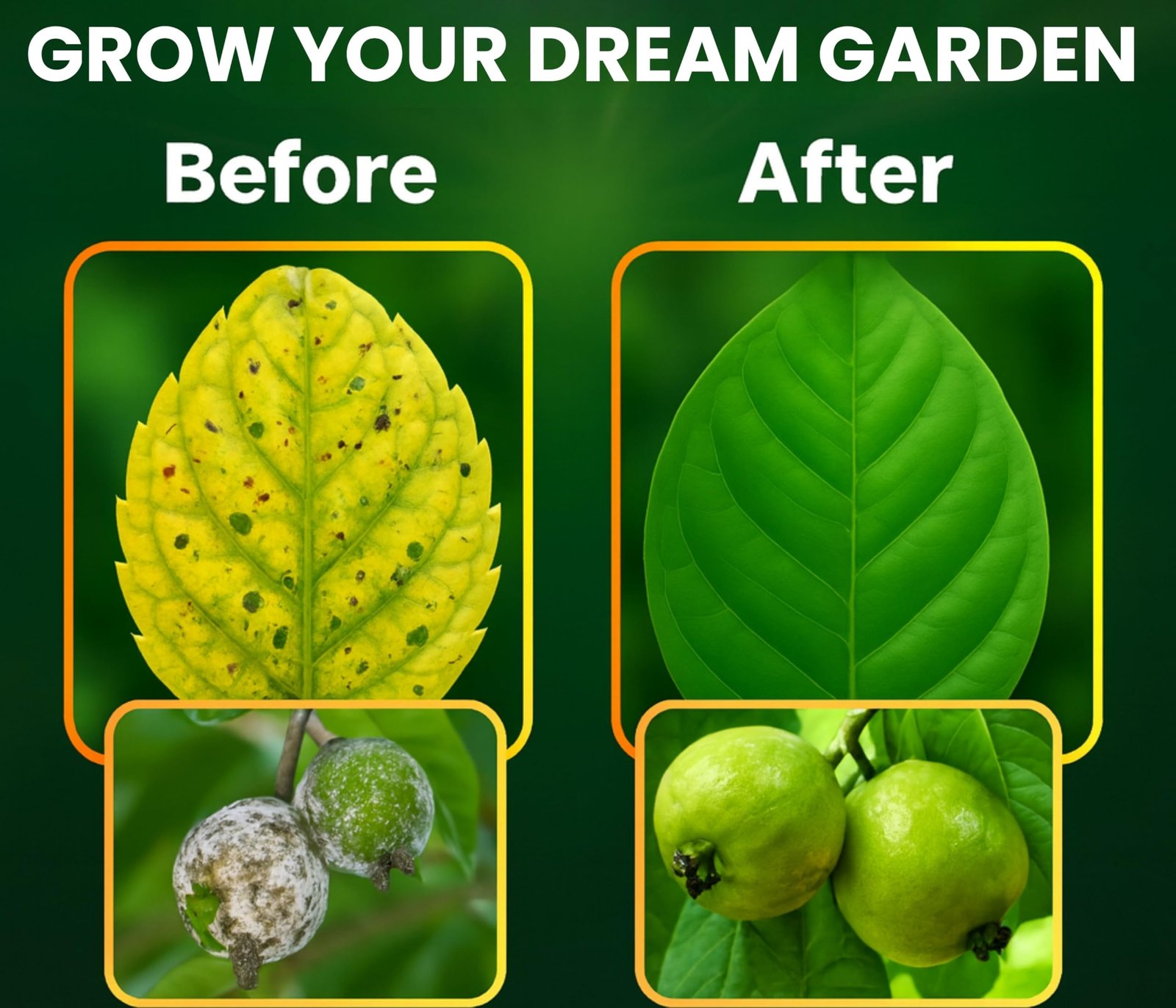 Chipku Pure Cold Pressed Water Soluble Neem Oil 200ml With Free Empty Spray Bottle Concentrate For Plants & Garden For Indoor And Outdoor Removes Aphids Fungus Mildew For Making 40 Neem Spray Bottles