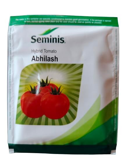 Seminins Abhilash Hybrid Tamato Seeds 10g (Pack of 1)