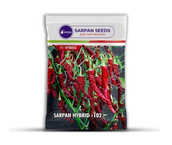 SARPAN SEEDS Sarpan 102 byadgi chilli seeds | Byadgi dabbi chilli | byadagi mirchi seeds | red chilli seeds | Mirchi seeds (10)