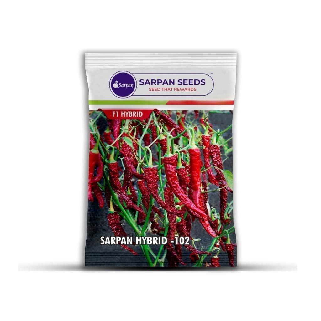 SARPAN SEEDS Sarpan 102 byadgi chilli seeds | Byadgi dabbi chilli | byadagi mirchi seeds | red chilli seeds | Mirchi seeds (10)