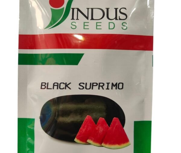 Indus Seeds F1 Hybrid Watermelon Black Supremo Seeds, 1000 seeds Packet