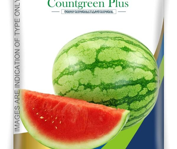 Countgreen Plus Organic Watermelon Seeds (Tarbuj) – Pack of 50 Non-Hybrid Fruit Planting Seeds, Ideal for Growing Juicy, Sweet Watermelons