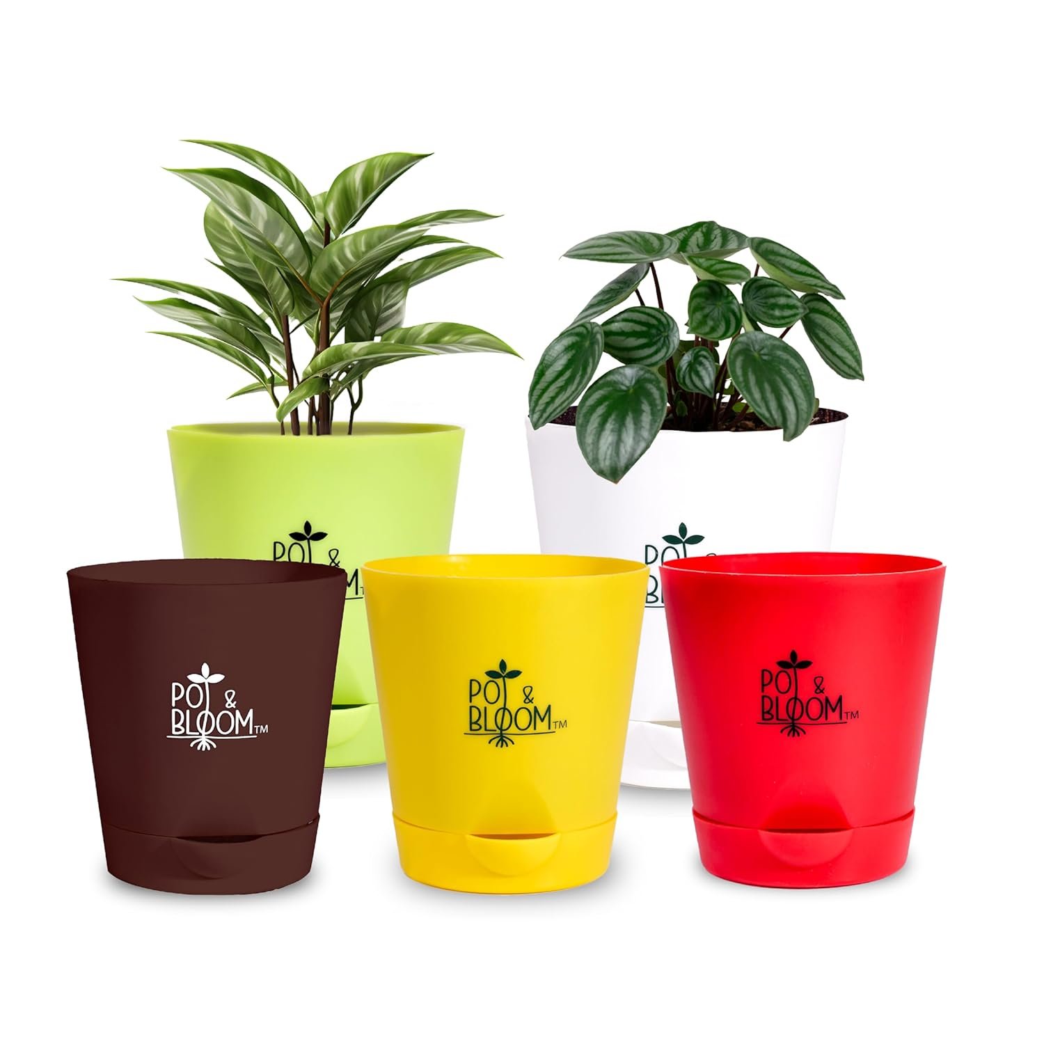 Pot and Bloom 4-Inch Self-Watering Pots, Set of 5, White, Red, Green, Yellow, Brown